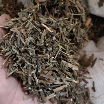 断血流冷背药材货好量大一公斤起售不满意保退换