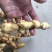 野生特级黄精纯野货好