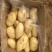 大棚三模新土豆荷兰十五黄皮黄瓤百分之六去称，可以做三两通