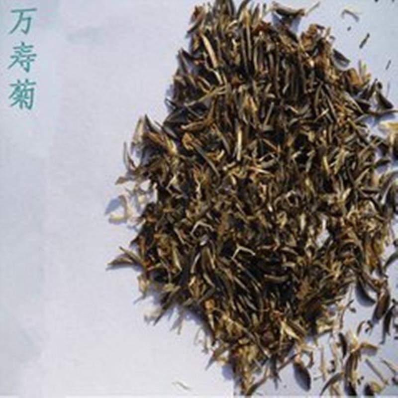 菊花万寿菊种子大量供应产地直销
