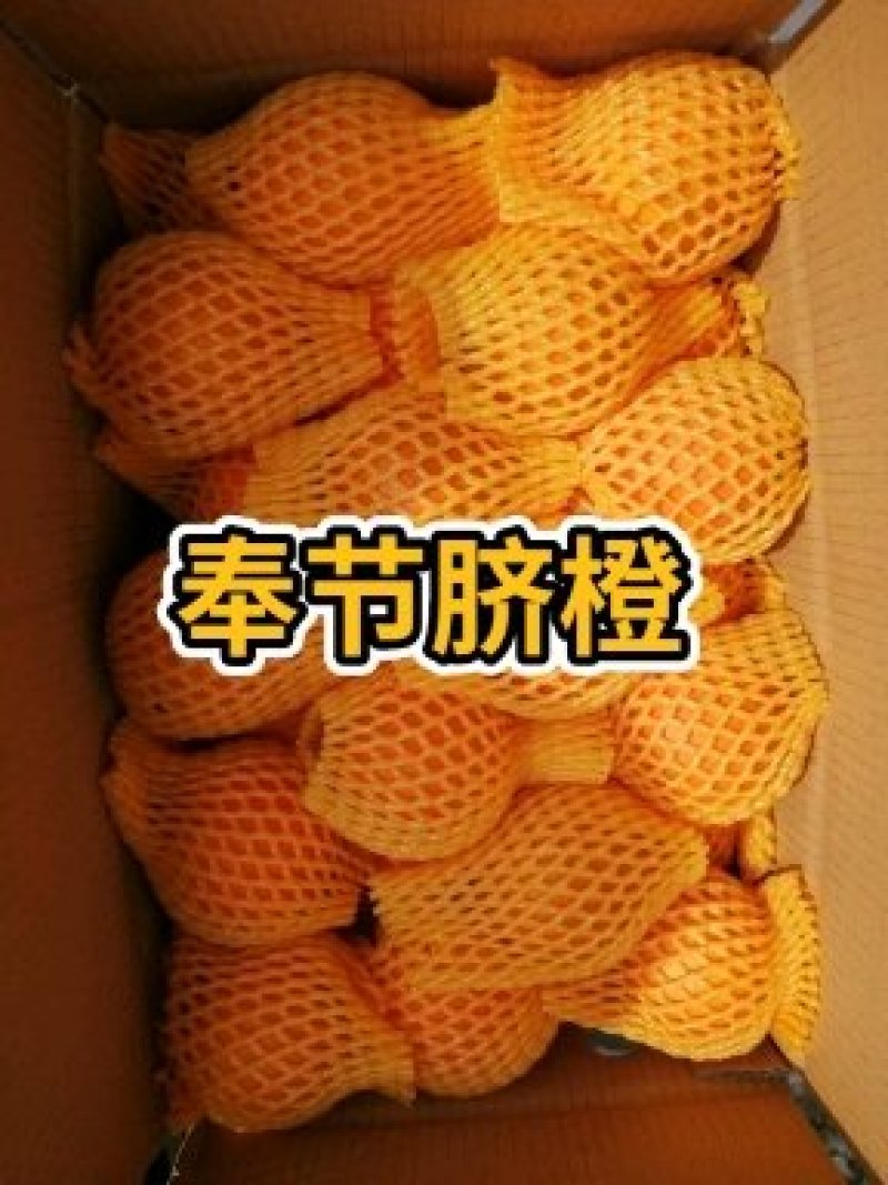 奉节脐橙