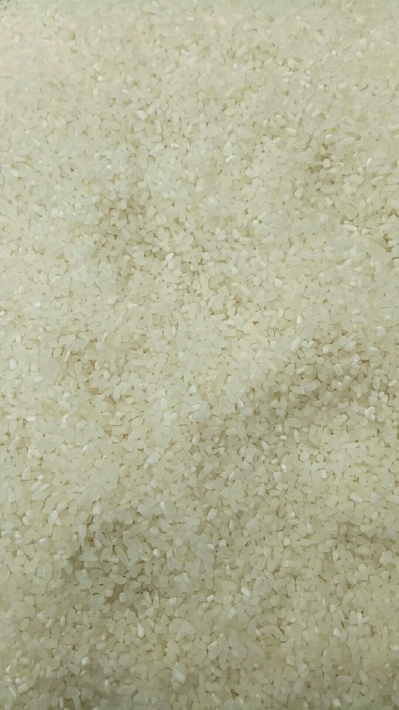 碎米中碎小米煮粥米小孩老年人煮粥小米粥新加工大米