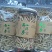 长白山花旗参粗腿西洋参西洋参丁(包邮)可免费打粉