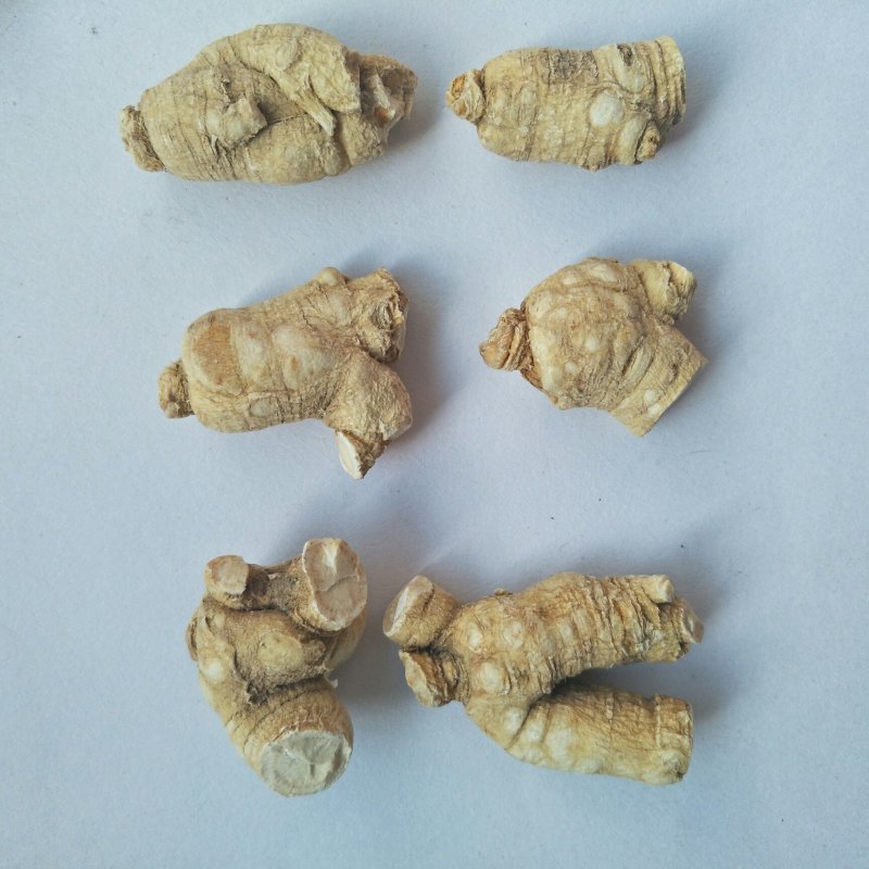 西洋参粒头花旗参粒头产地销售5年颗颗精选包邮