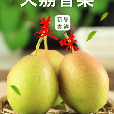 【牛商推荐】红香酥梨鲜嫩多汁香甜脆爽产地直发商超品质