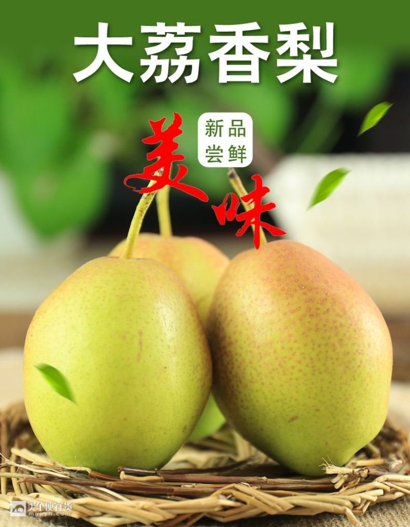 【牛商推荐】红香酥梨鲜嫩多汁香甜脆爽产地直发商超品质