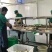 臭鳜鱼黄山特产去磷去鳃净膛真空包装泡沫箱冰袋保鲜快递