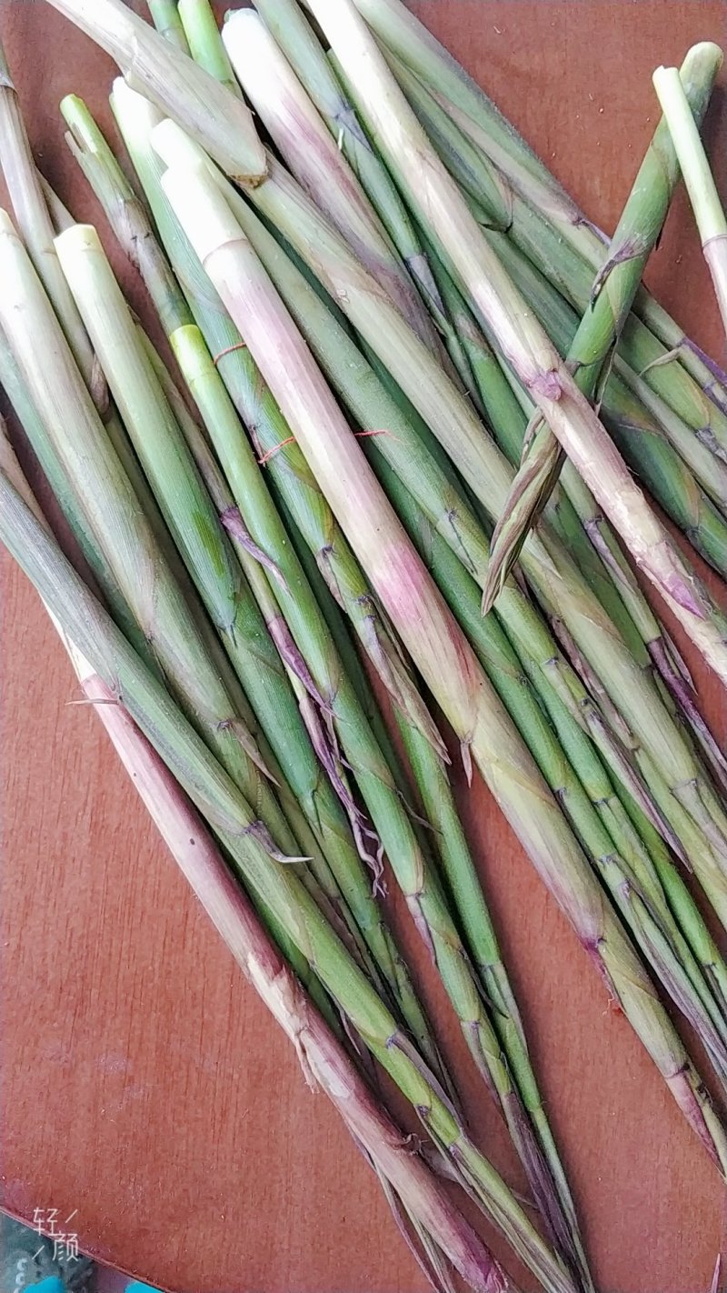 野生小竹笋大量大量大量！！！