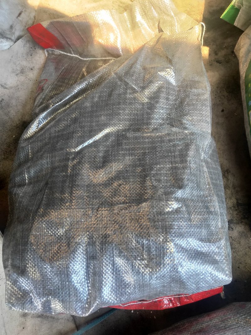 户外专用烧烤木炭机制炭