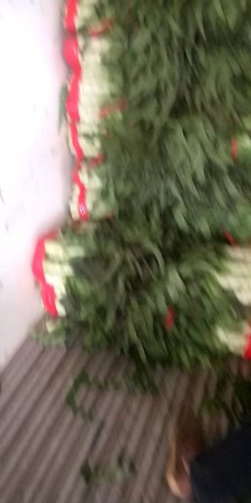 大量供应，红叶香莴笋产地直发欢迎客户来电咨询