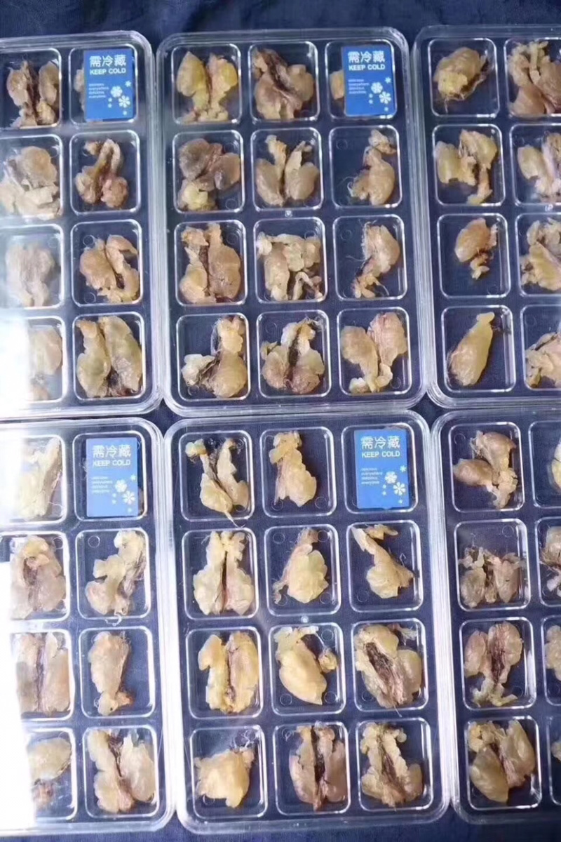 长白山雪蛤膏精选25克正宗干货包邮