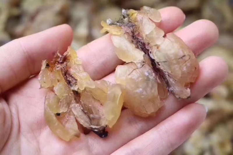 长白山雪蛤膏精选25克正宗干货包邮