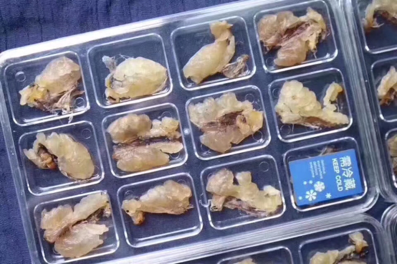 长白山雪蛤膏精选25克正宗干货包邮