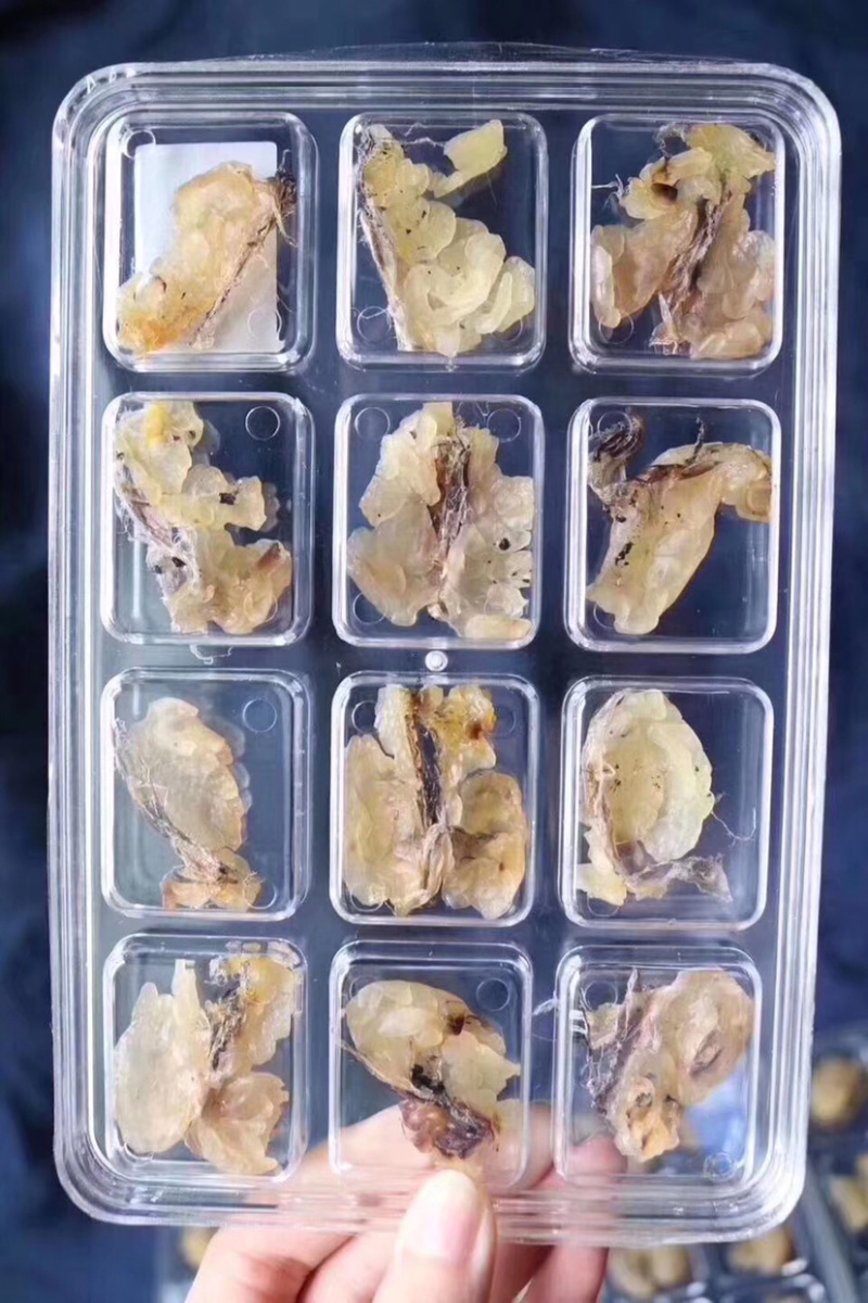 长白山雪蛤膏精选25克正宗干货包邮