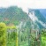 福建冬笋新鲜冬笋清水笋片天然野生手拨笋农家现挖春笋冬笋尖