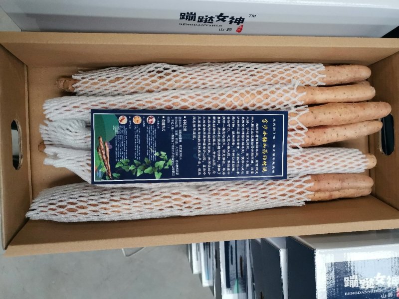 金沙山药冰糖山药铁棍山药水果山药粉糯香甜
