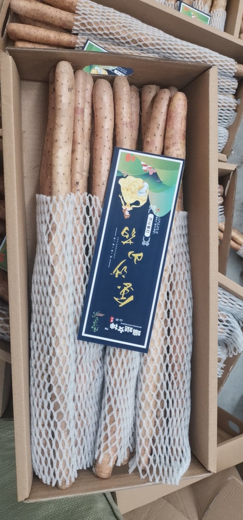 金沙山药冰糖山药铁棍山药水果山药粉糯香甜