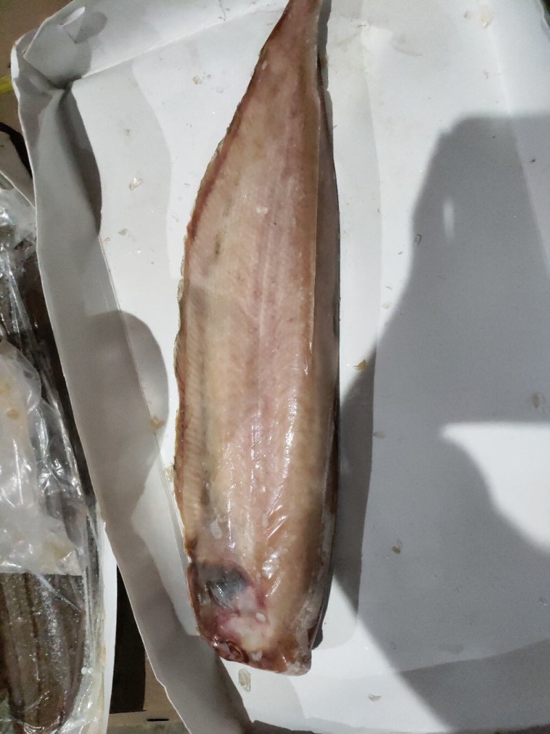 舌鳎龙利鱼鳎目比目单条1斤-1.2斤，适合各种烹饪
