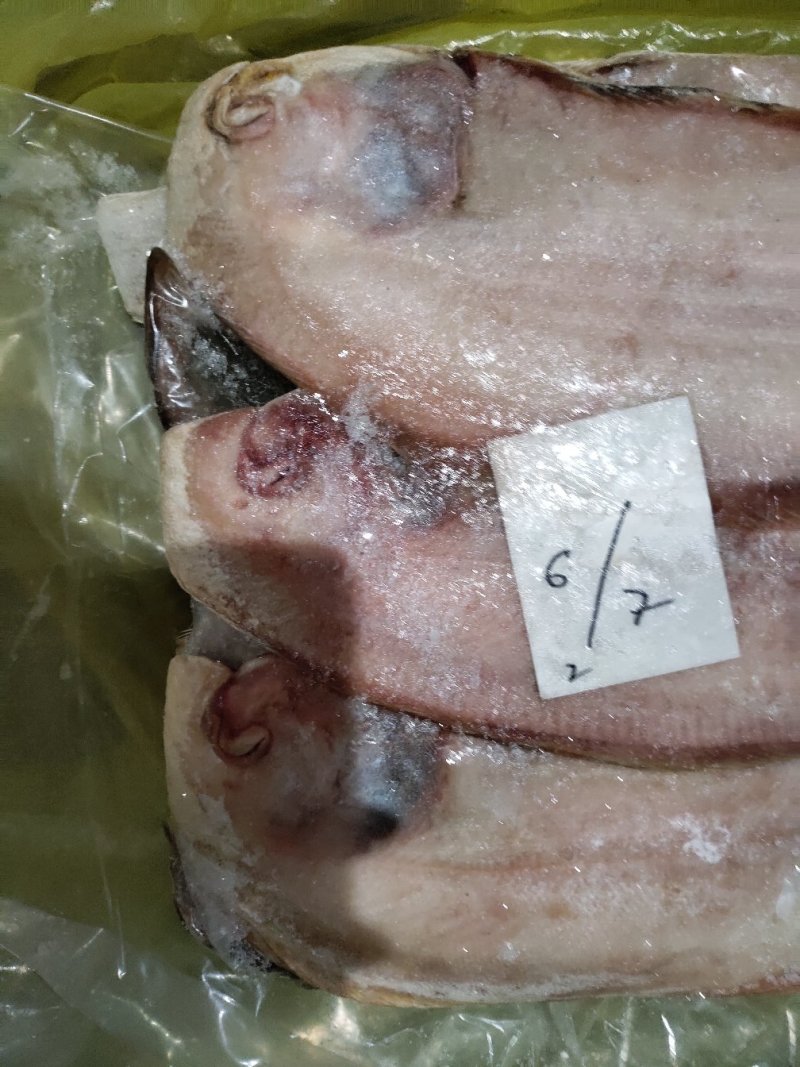舌鳎鳎目龙利鱼条单条1.2斤-1.4斤适合各种烹饪