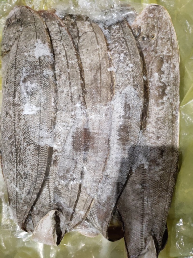 舌鳎鳎目龙利鱼条单条1.2斤-1.4斤适合各种烹饪