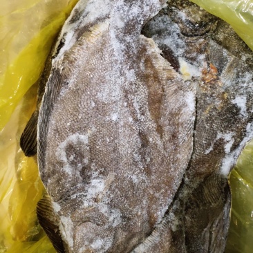 比目鱼阿拉斯加鲽鱼，进口深海鱼类，适合各种餐厅酒店