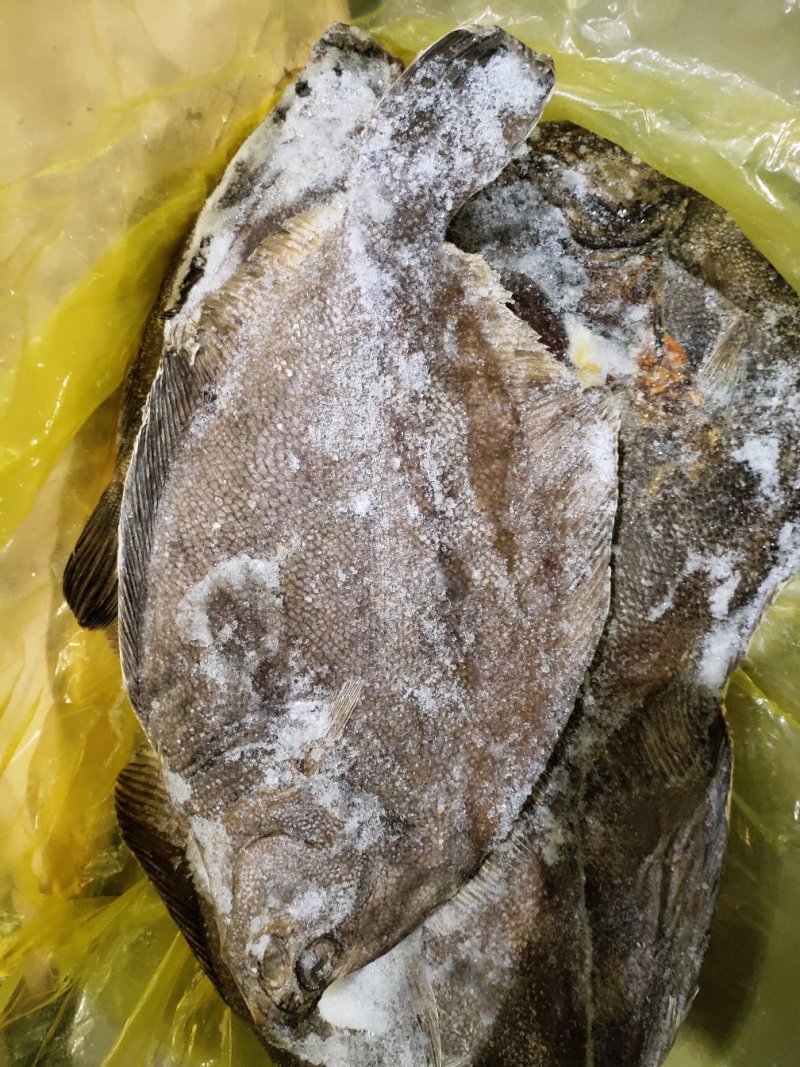 比目鱼阿拉斯加鲽鱼，进口深海鱼类，适合各种餐厅酒店