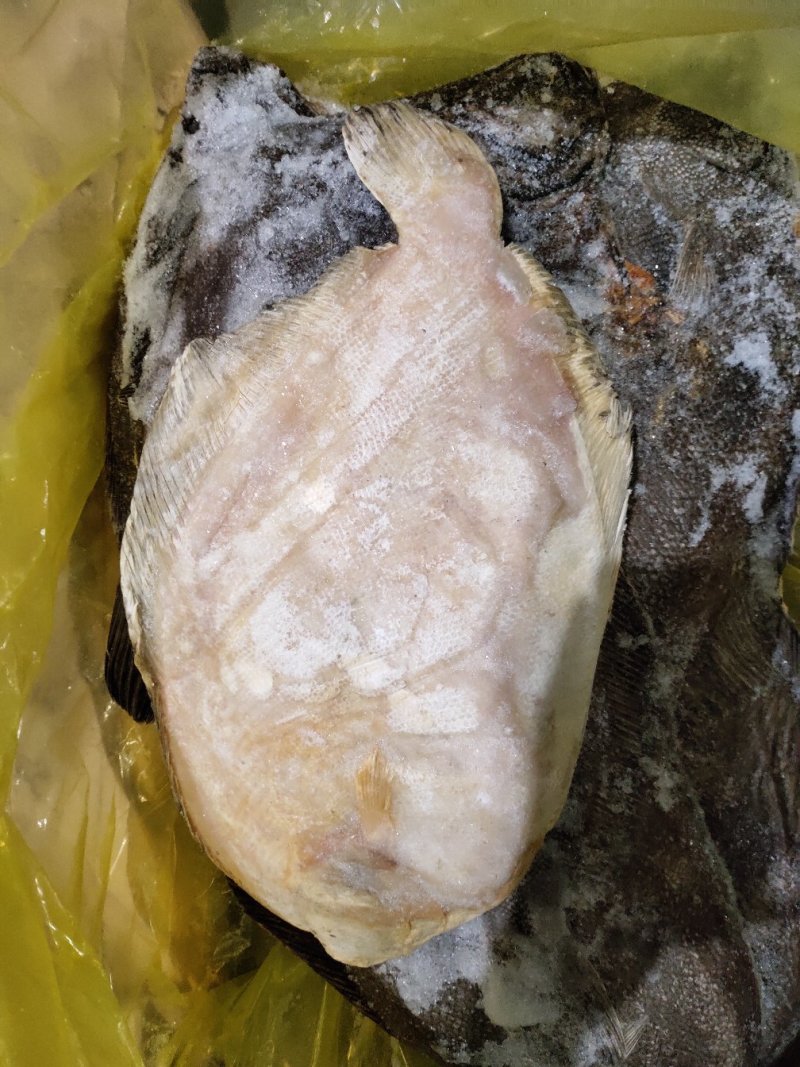 比目鱼阿拉斯加鲽鱼，进口深海鱼类，适合各种餐厅酒店