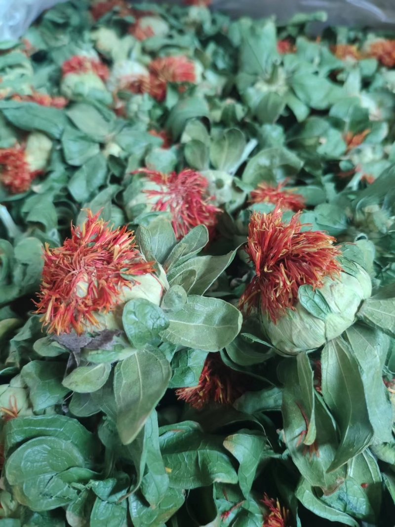 红花果，精品成朵红花朵红光果，特级养生花茶