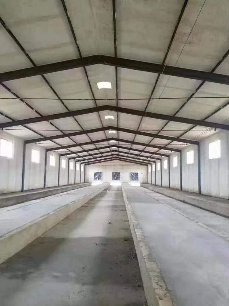 鑫旺大型养殖搭建鸡舍鸭舍猪舍