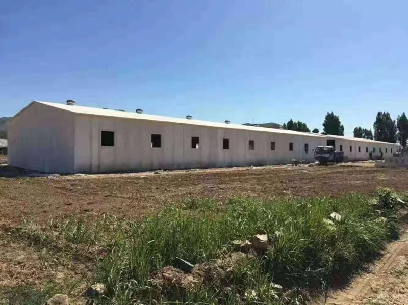 鑫旺大型养殖搭建鸡舍鸭舍猪舍