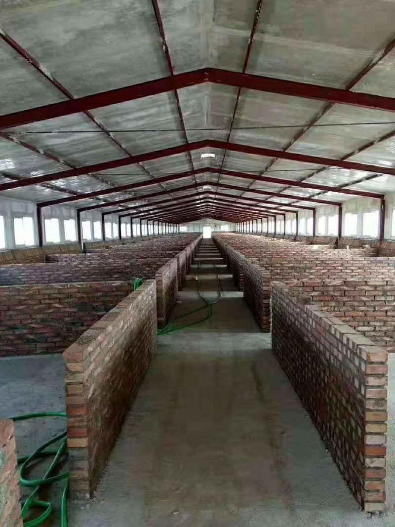 鑫旺大型养殖搭建鸡舍鸭舍猪舍