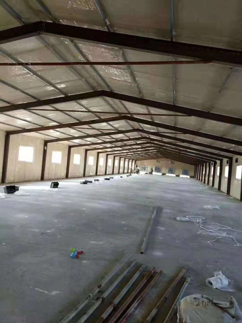 鑫旺大型养殖搭建鸡舍鸭舍猪舍