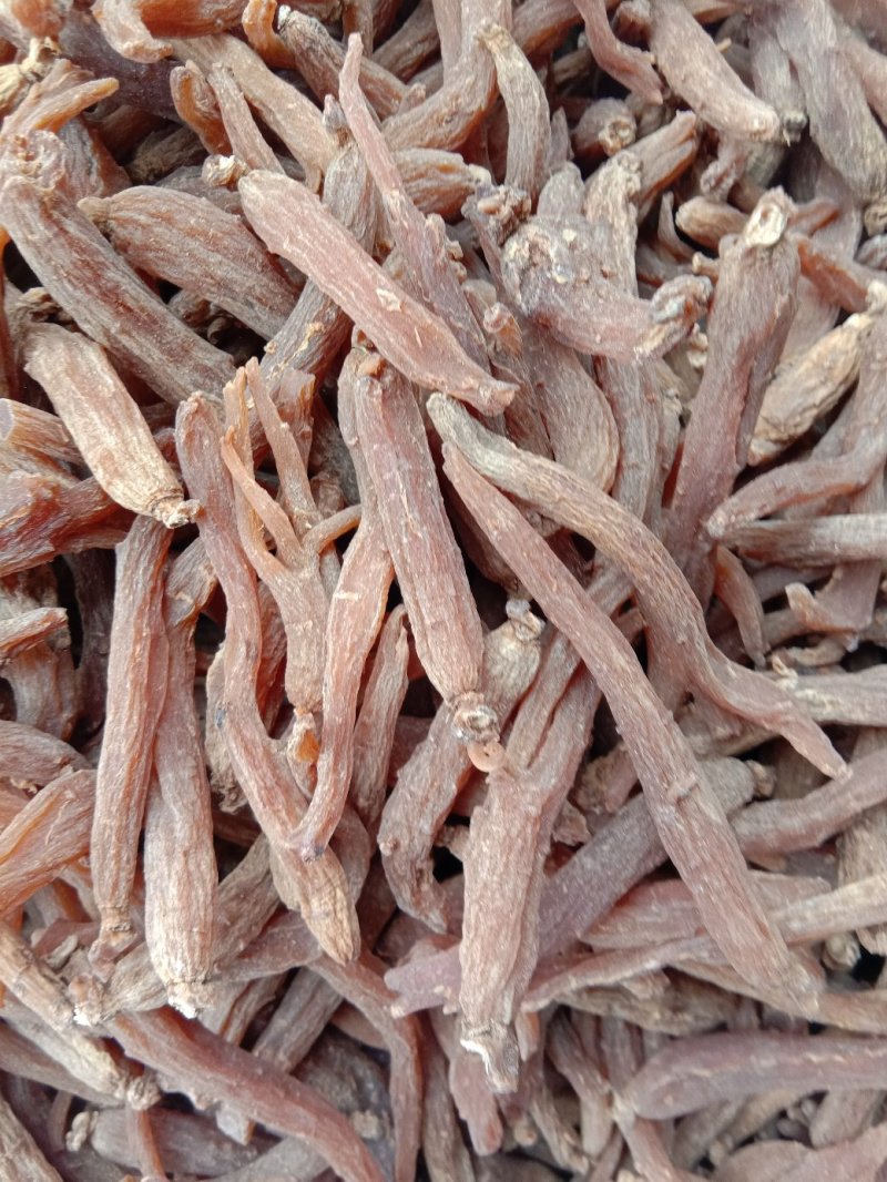 红参，常年批发供应各种规格小红参，药食同源中药材