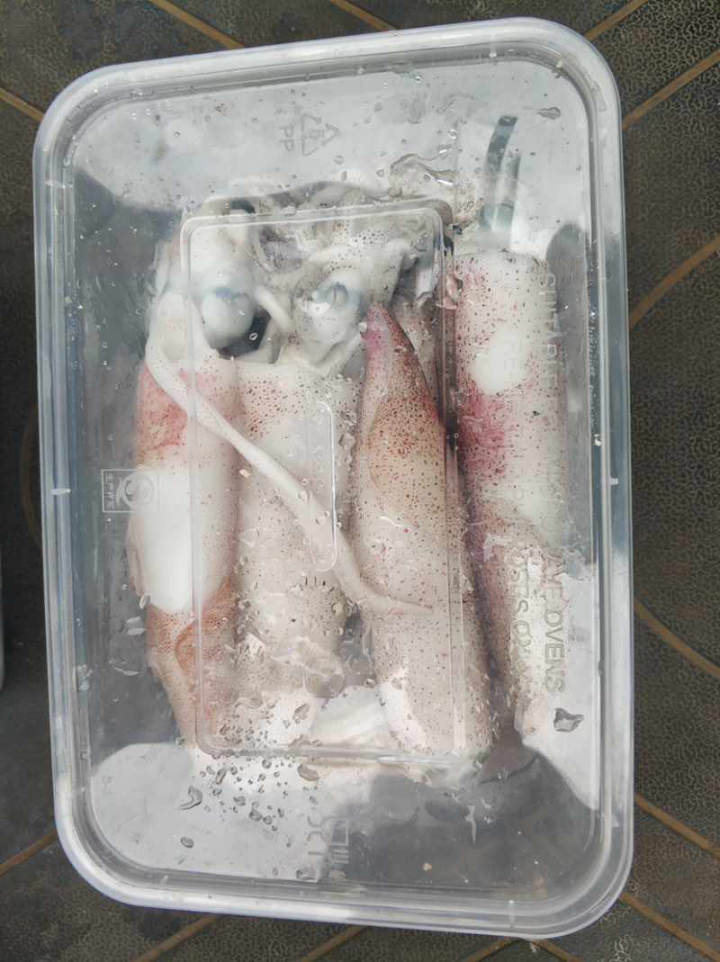 冰冻海水小龙虾鱿鱼黄花鱼