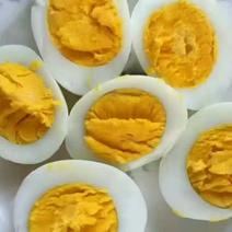土鸡蛋山鸡蛋，食用50~60g，跑山鸡蛋，山鸡蛋山地