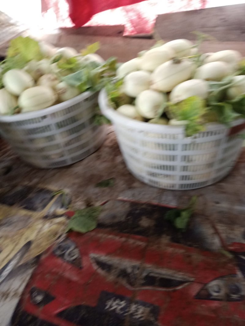 东方蜜