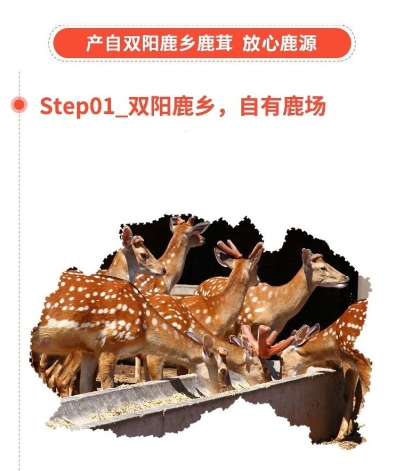 《明轩鹿业》鹿心血干鹿心血鹿血