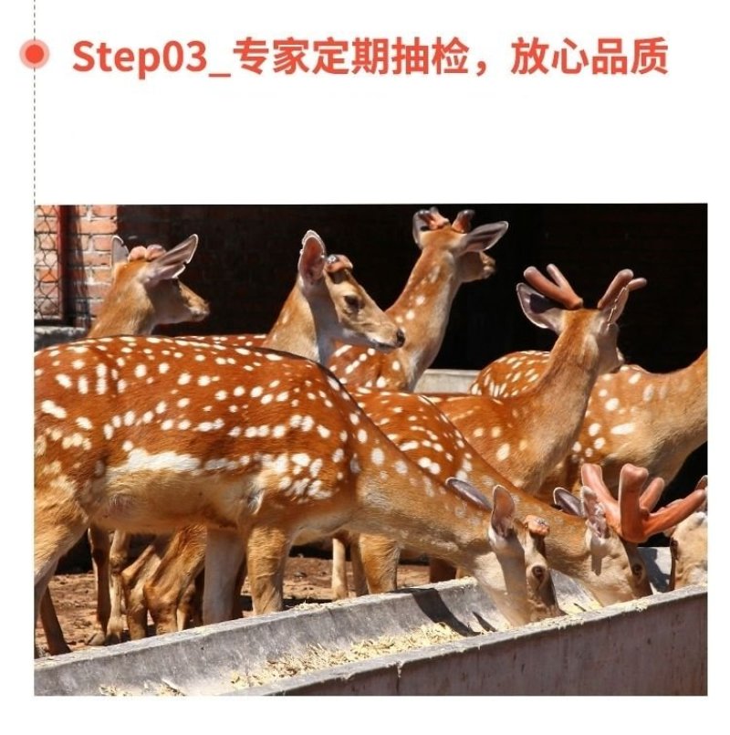 《明轩鹿业》鹿心血干鹿心血鹿血