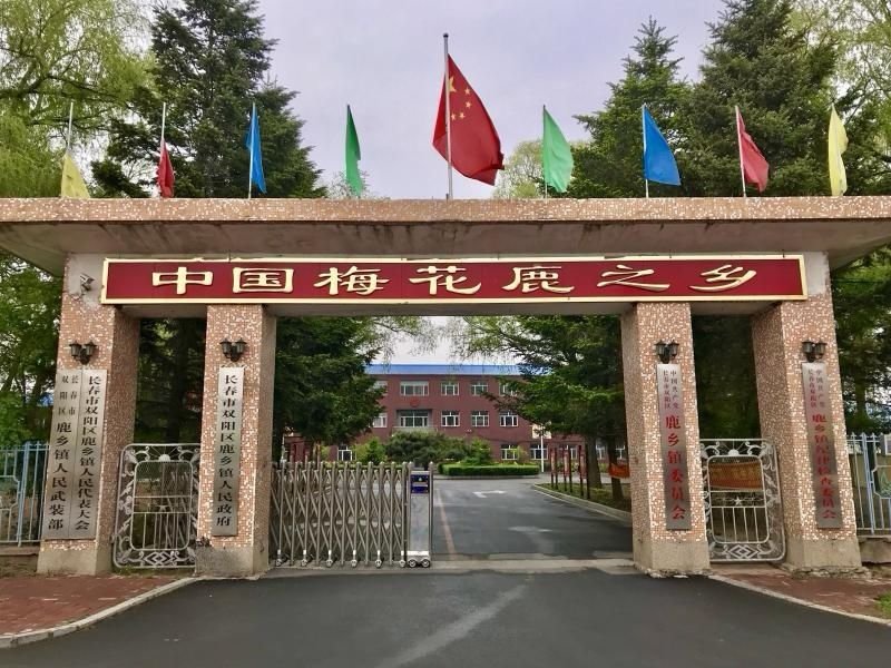 《明轩鹿业》鹿心血干鹿心血鹿血