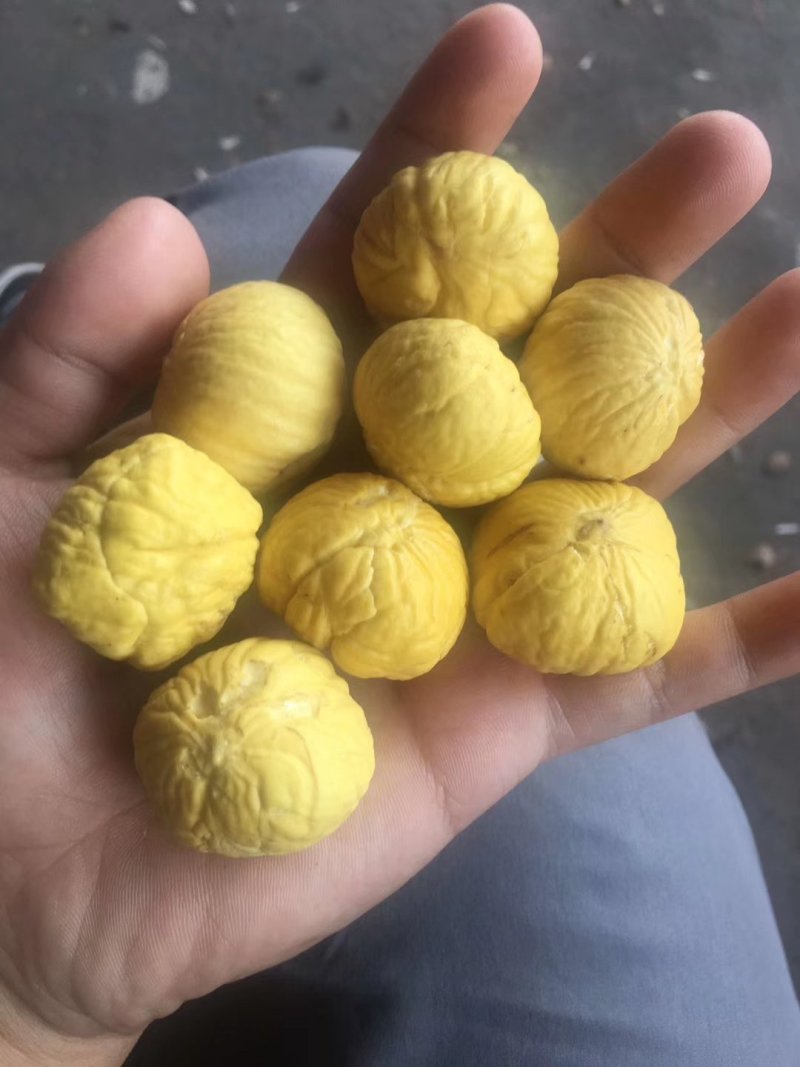 真空板栗仁，精美栗果