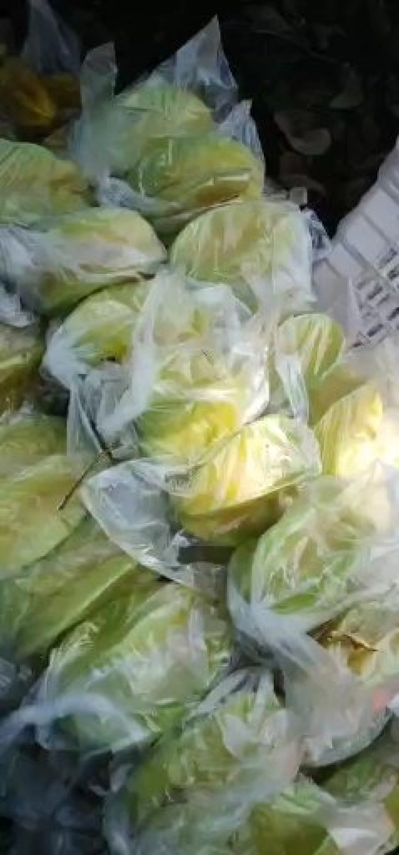 漳州小果甜杨桃腌制，炸汁杨桃
