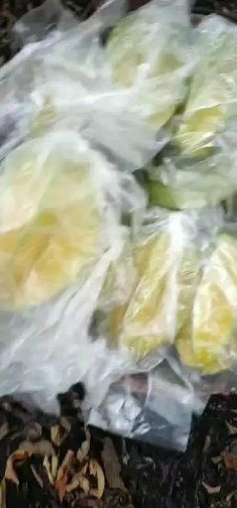 漳州小果甜杨桃腌制，炸汁杨桃
