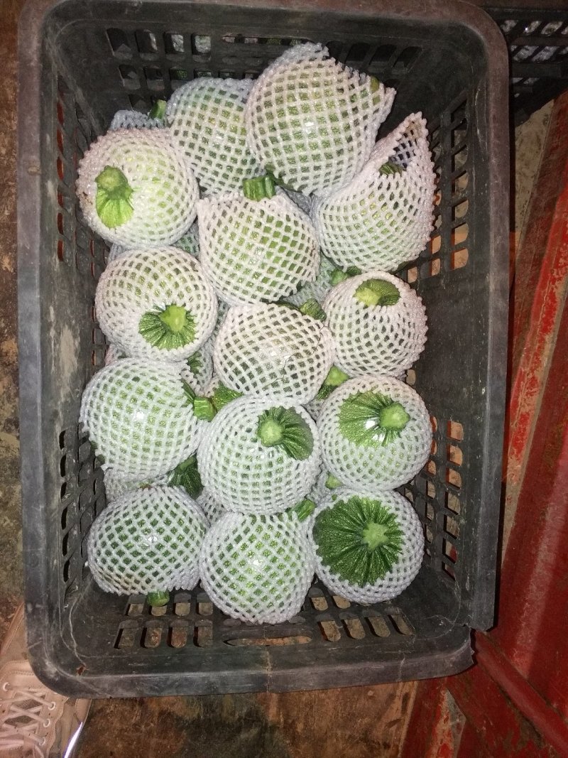 南瓜