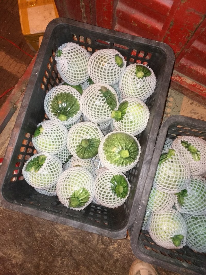 南瓜