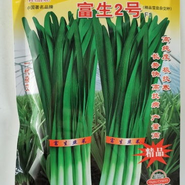 富生2号韭菜种子不休眠耐寒高产长径白根宽叶韭菜种子