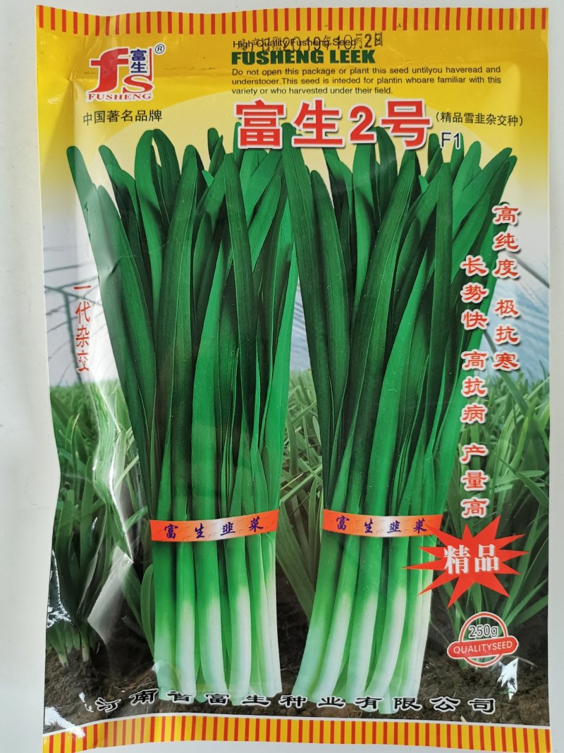 富生2号韭菜种子不休眠耐寒高产长径白根宽叶韭菜种子