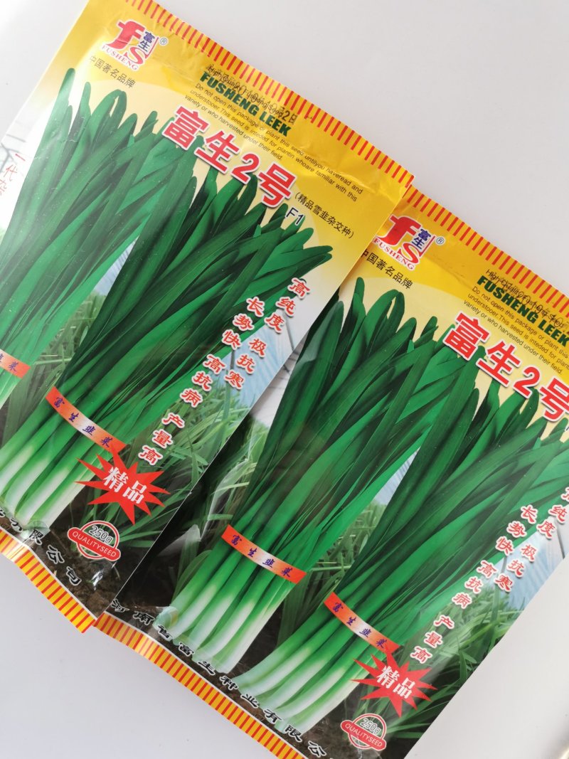 富生2号韭菜种子不休眠耐寒高产长径白根宽叶韭菜种子