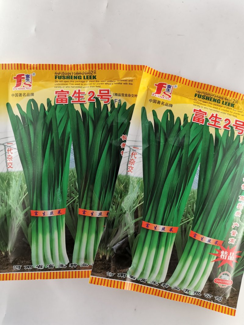 富生2号韭菜种子不休眠耐寒高产长径白根宽叶韭菜种子