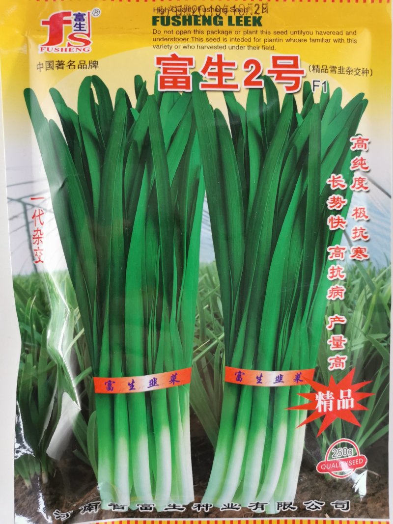 富生2号韭菜种子不休眠耐寒高产长径白根宽叶韭菜种子