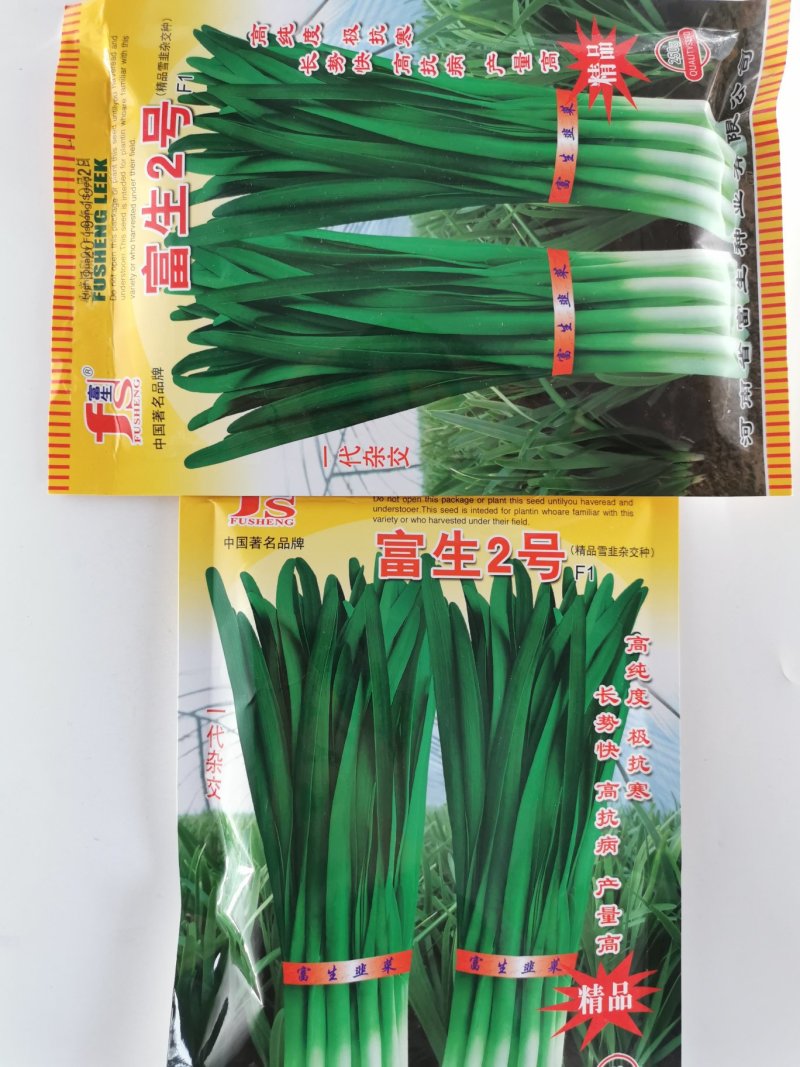 富生2号韭菜种子不休眠耐寒高产长径白根宽叶韭菜种子